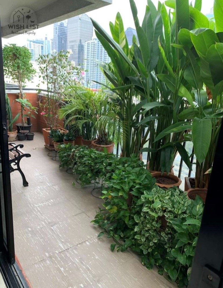 Condo for rent Pet-friendly_Kiarti Thanee City Mansion, Sukhumvit Road., Duplex 3 bed 3 bath, Near BTS Asoke-Phromphong 62,999 TBH.