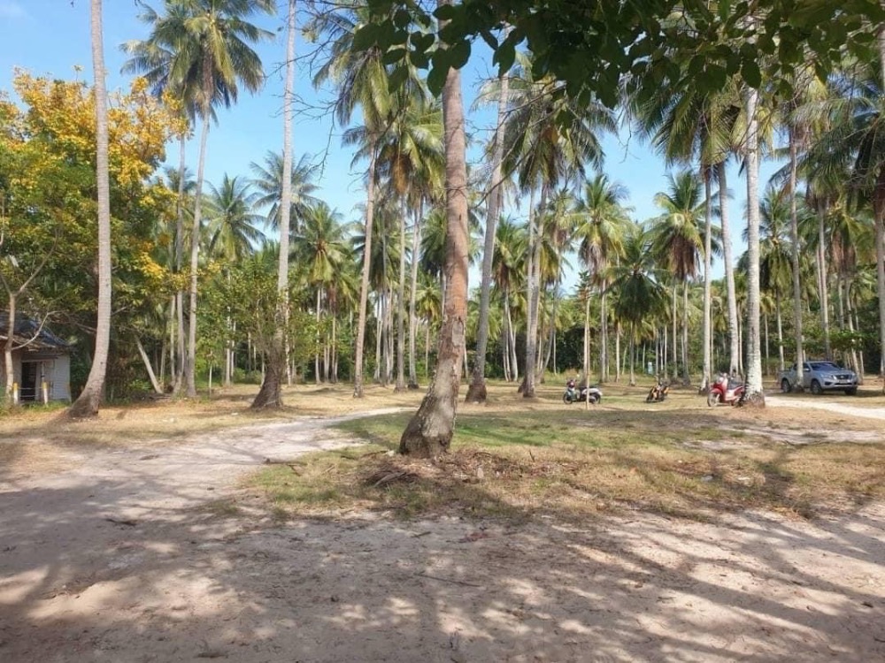 For Sale: Beachfront land on Koh Yao Yai, 51-1-63.5 Rai