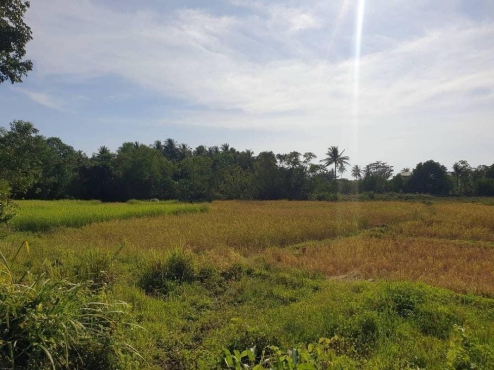 For Sale: Beachfront land on Koh Yao Yai, 51-1-63.5 Rai